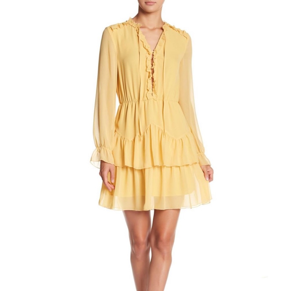 NWT Endless Rose chiffon dress